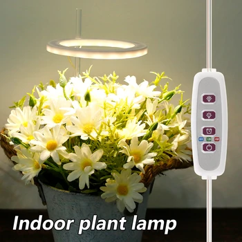 20LEDs Usine élèvent la Lumière Alimenté par USB Anneau de Croître Lampes avec Minuteur Réglable Lampes de Jardin pour Plantes d'Intérieur, Plantes en Pot