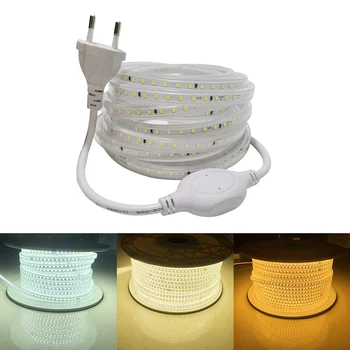 220V Bande de LED SMD2835 120LEDs/m Flexible de Lumière de LED Imperméable Extérieure de Ruban de Lumières de Bande de LED IP67 Ruban à LED pour l'Éclairage de la Salle