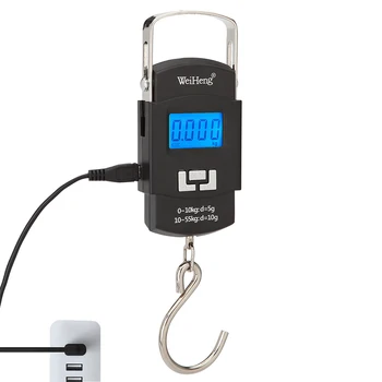 55kg/10g de Recharge USB Numérique Électronique d'Échelle de Crochet de Pêche de Voyage Double Précision de Poids des Bagages à l'Échelle Balance