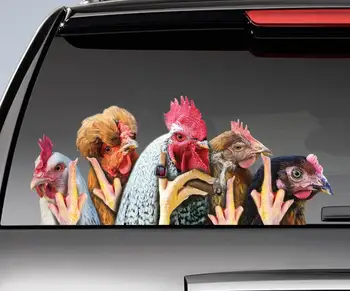 Drôle de poulets fenêtre autocollant , poulet autocollant de voiture, drôle de coq autocollant