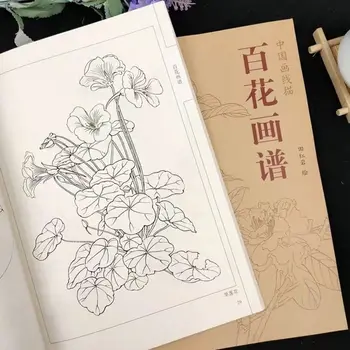 La peinture chinoise de la ligne de livre de dessin crayon de Couleur Centaine de Fleurs /Oiseaux /Lotus/Pivoine livre de coloriage de Gravure de modèle pour débutant