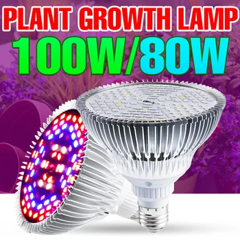 LED Grow Ampoule E27 de l'Usine Lumière à Spectre Complet Phyto Lampe E14 à LED Hydroponique Ampoule 18W 28W 30W 50W 80W 100W Pour Phytolamp Grandir Tente