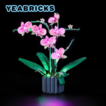 YEABRICKS LED Kit d'éclairage pour 10311 Orchidée Blocs de Construction Ensemble (ne PAS Inclure le Modèle) Briques de Jouets pour les Enfants